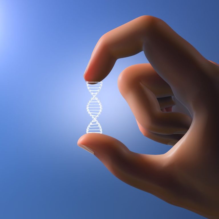 Epigenética y genes